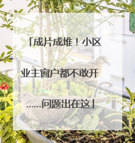 成片成堆！小区业主窗户都不敢开……问题出在这